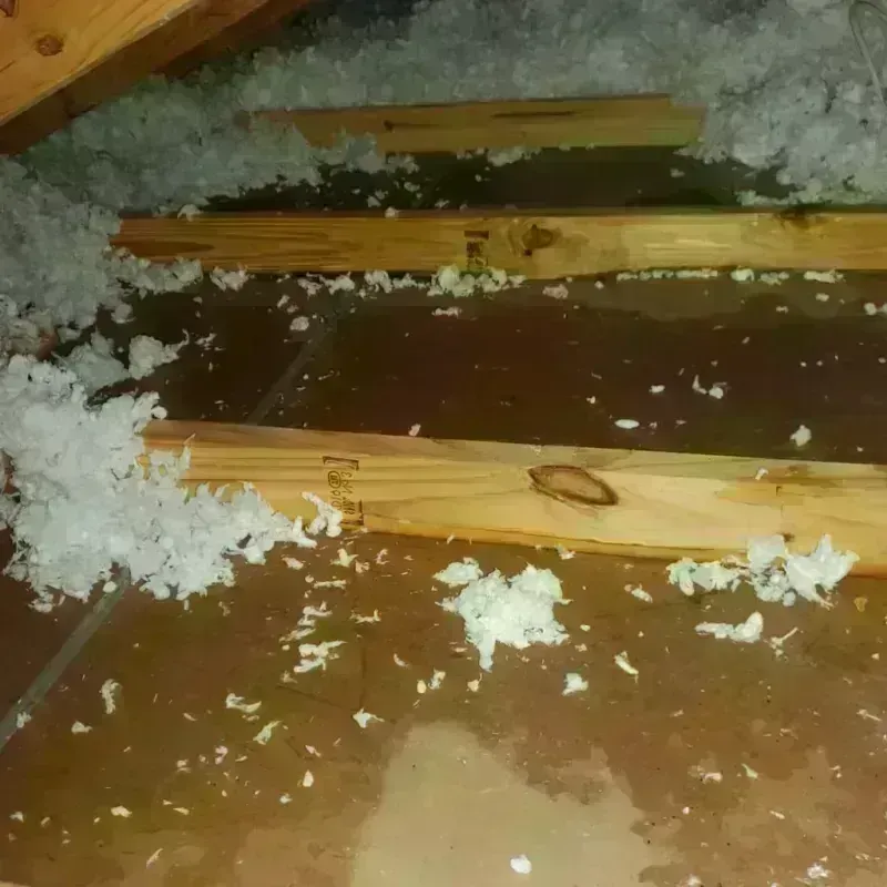 Attic Water Damage in Kingston, MA